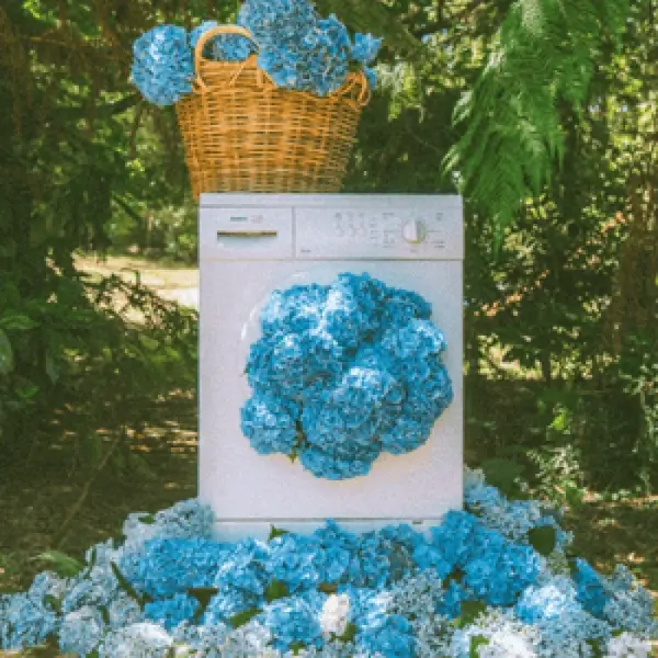 THIS HOUSE - CHLOE VIOLETTE